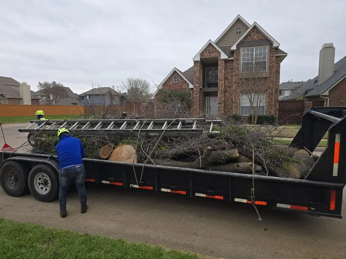 Expert Tree Pest Control with proper safety equipment in Adamsville